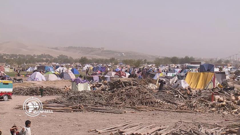 Iranpress: Earthquake victims in Afghanistan continue to suffer aftermaths