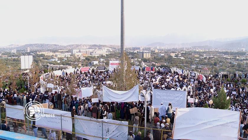 Iranpress: Afghans support of oppressed people of Gaza 