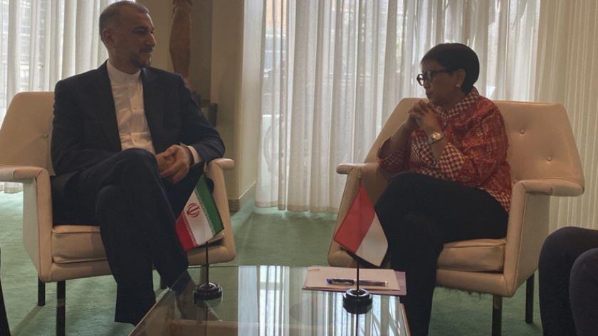 Iranpress: Iran, Indonesia FMs stress cessation of Israeli crimes in Gaza