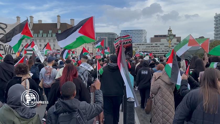 Iranpress: The world around us supports for Gaza