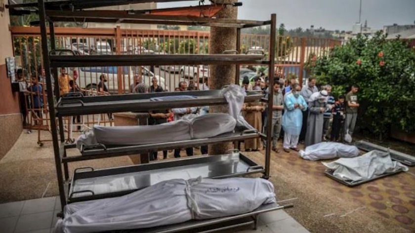 Iranpress: Palestinian death toll in Gaza rises above 8,000