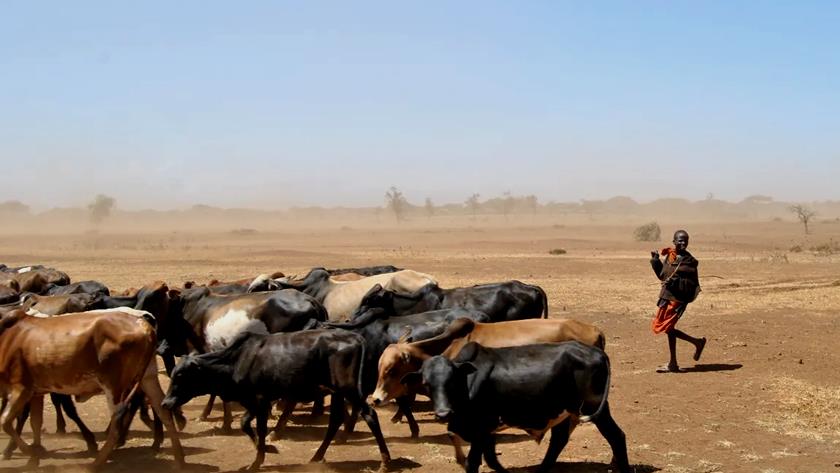 Iranpress: 4 killed, 335 infected in anthrax outbreak in Zambia