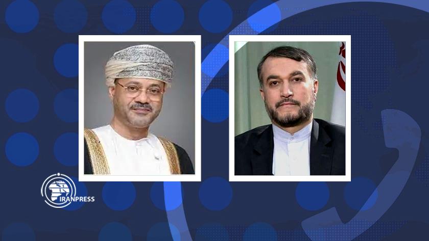 Iranpress: Iran, Oman call for more synergy among Islamic states regarding Gaza