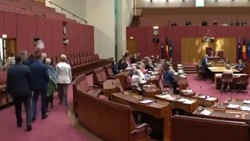 Iranpress: Australian MPs storm out of senate as a sign of solidarity with Palestine