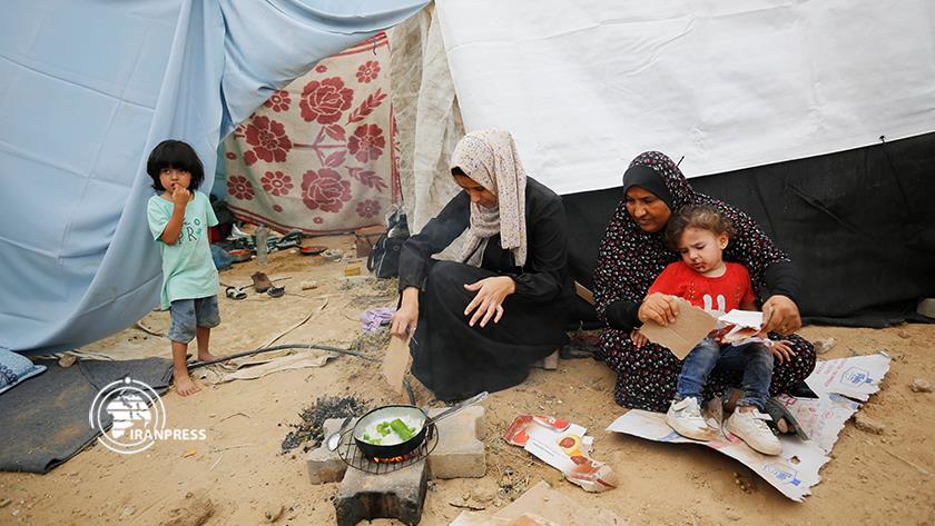 Iranpress: Palestinians symbol for patience, resistance under shadow of Gaza war