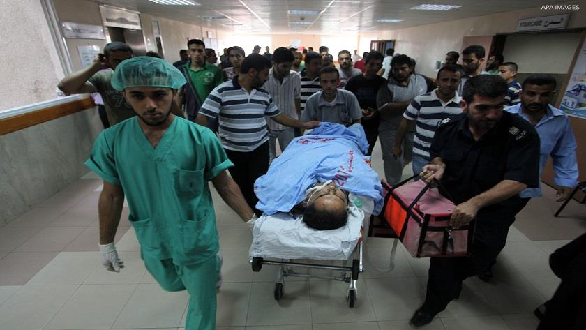 Iranpress: EU calls for meaningful pauses in Israeli aggression against Gaza 