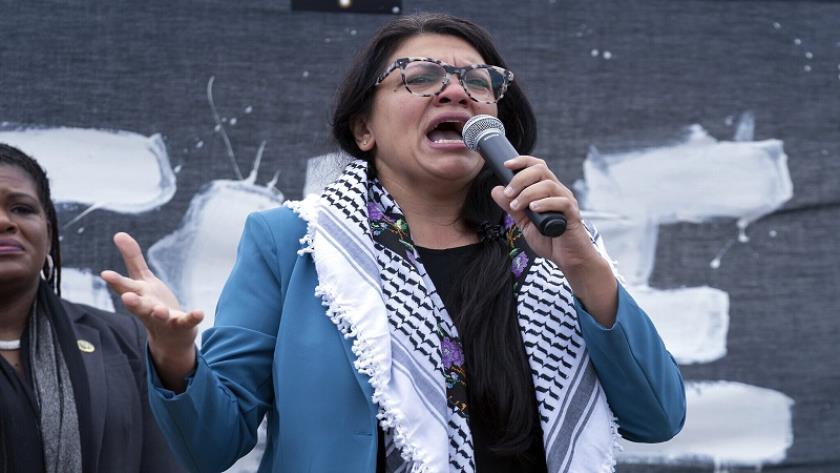 Iranpress: Democrats possibly to lose Michigan battle due to conflict over Gaza