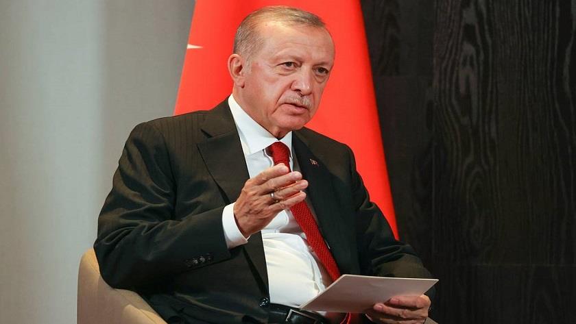 Iranpress: Erdogan blasts Israel as a terrorist state destroying Gaza