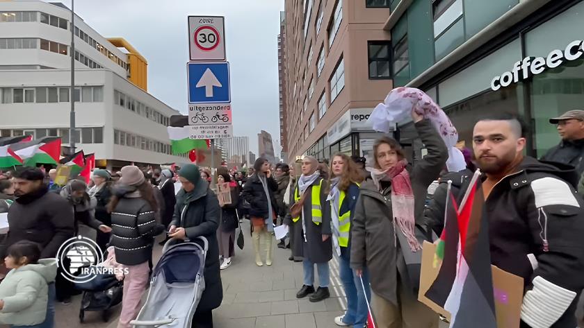 Iranpress: Demonstration of supporters of Gazans in Rotterdam, Netherlands