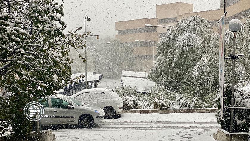 Iranpress: Beautiful autumn snowfall in Iran