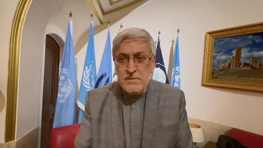 Iranpress: Countries have the right to accept or reject IAEA inspectors: Envoy