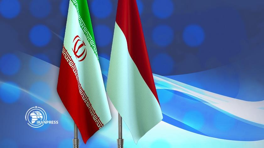 Iranpress: Iran, Indonesia cooperate in science, knowledge