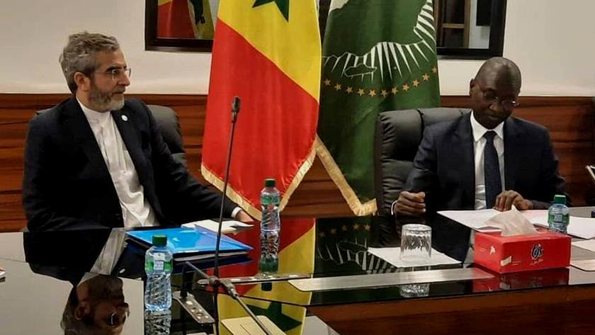 Iranpress: Iran; Reliable partner for African countries