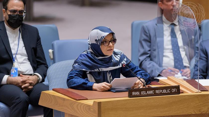 Iranpress: Ersahdi: Zionist Regime should be held accountable for Gaza genocide