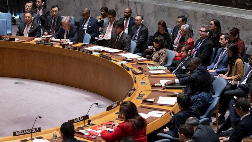 Iranpress: U.S. vetoes Security Council Resolution on Cease-Fire in Gaza