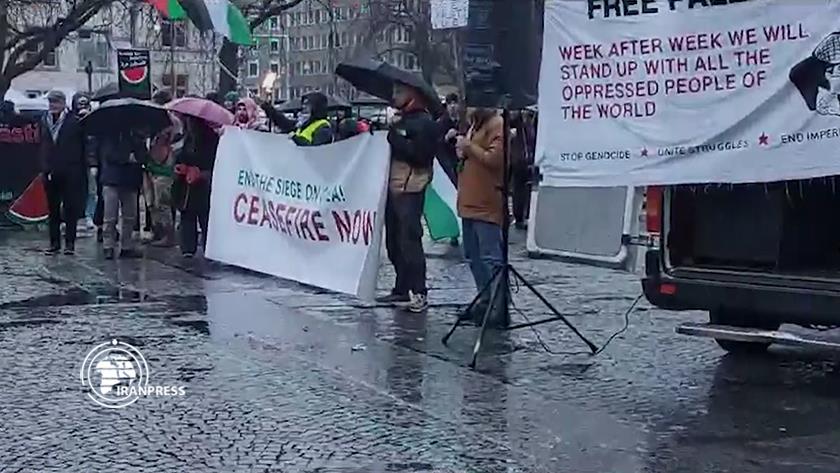 Iranpress: Swiss; People gather in support of Palestine