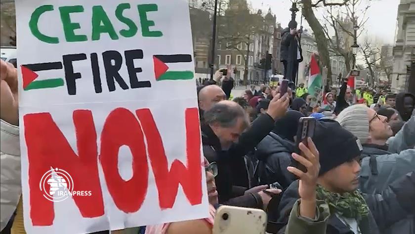 Iranpress: British mothers sympathize with Palestinian mothers