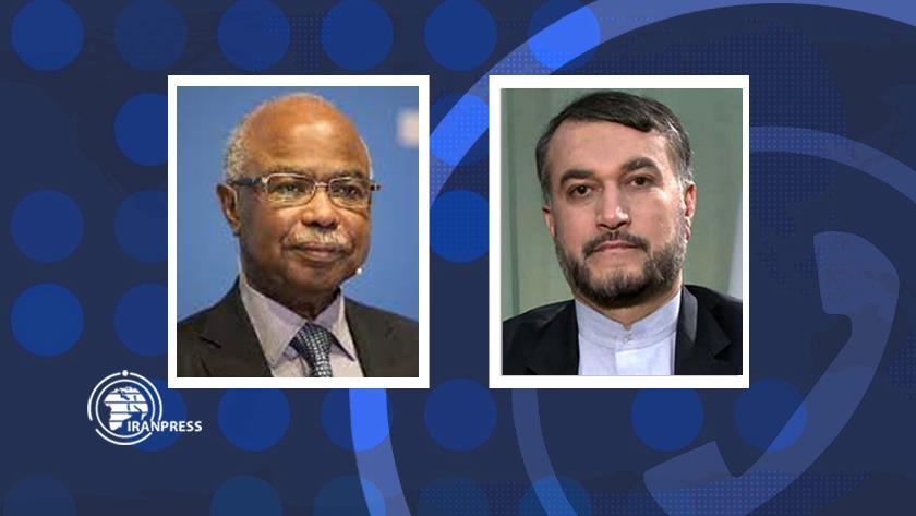 Iranpress: Iran FM, OIC secretary-General confer on latest Gaza developments via phone call