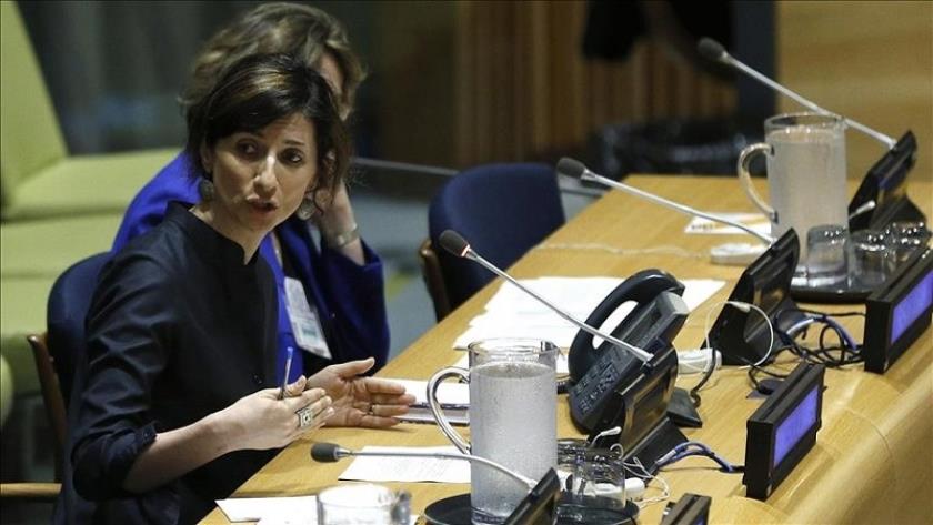 Iranpress: UN special rapporteur warns of serious risk of genocide in Gaza