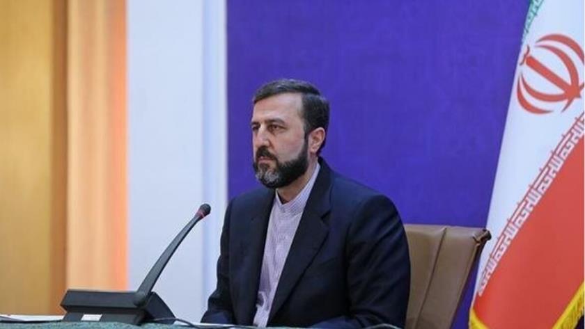 Iranpress: Judiciary supports for Iranians in expatriates