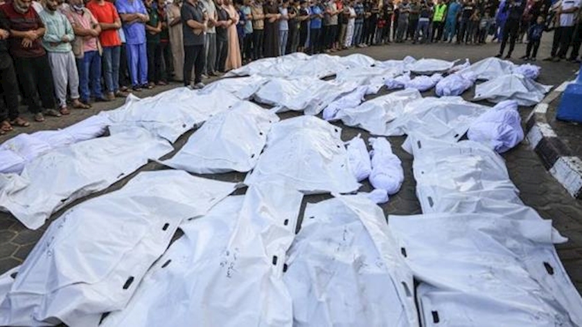 Iranpress: Israel steals vital organs from Palestinians