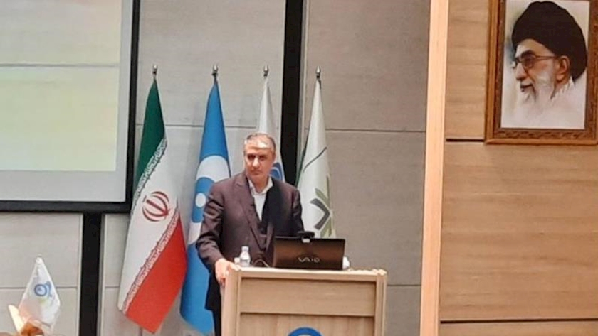 Iranpress: West trys to halt Iran nuclear activities with politics: IAEO Chief