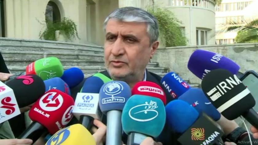 Iranpress: AEOI Head: Second plasma therapy for scars opened