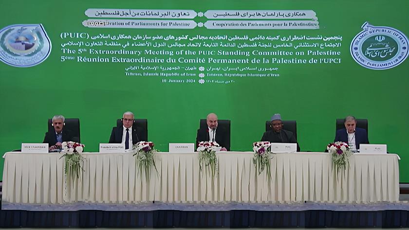 Iranpress: People of Palestine must determine for independent country: PUIC statement