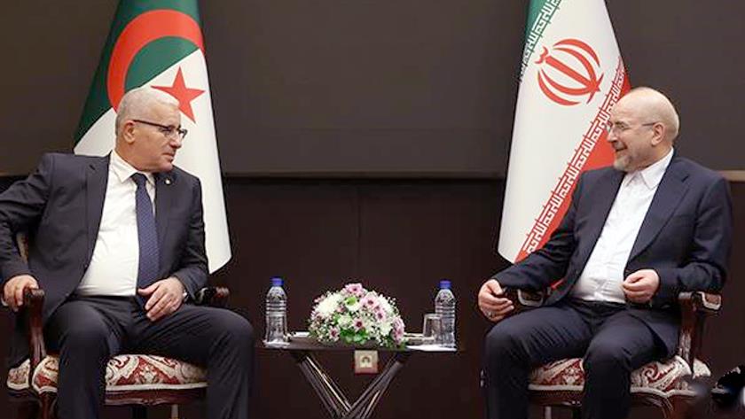 Iranpress: Iranian and Algerian speakers emphasize unity in support of Palestine