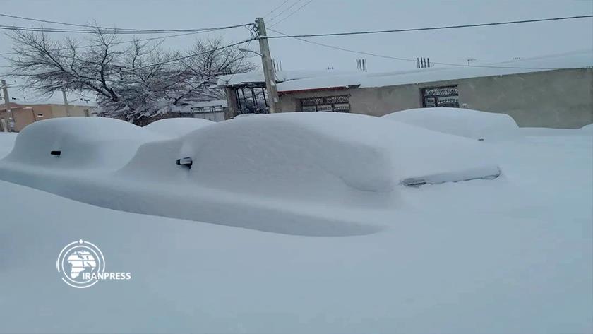 Iranpress: Varzaghan clad in white 
