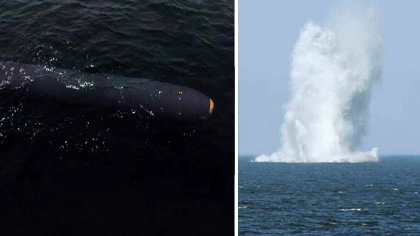 Iranpress: North Korea tests underwater nuclear weapons system