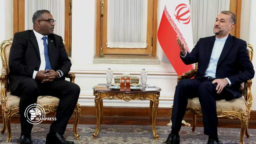 Iranpress: Iran FM meets with Algeria