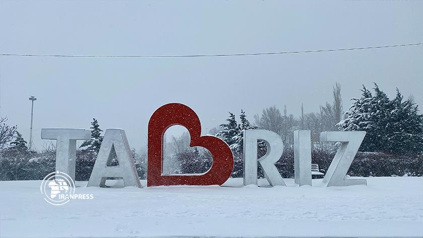 Iranpress: Beautiful snowfall dresses Iran