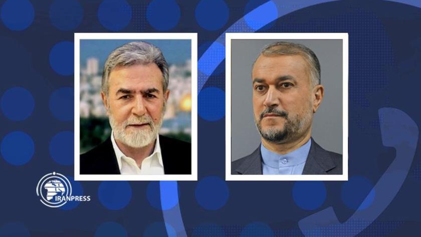 Iranpress: Iran