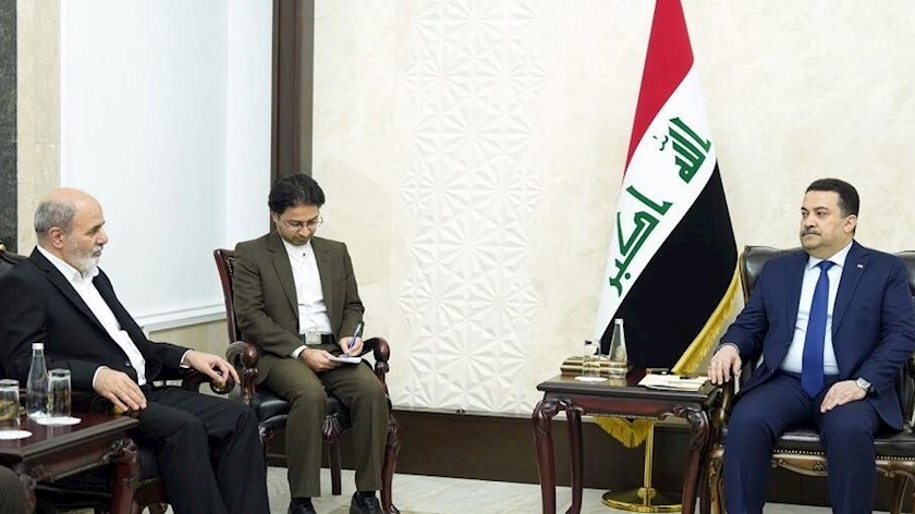 Iranpress: SNSC chief reiterates Iran