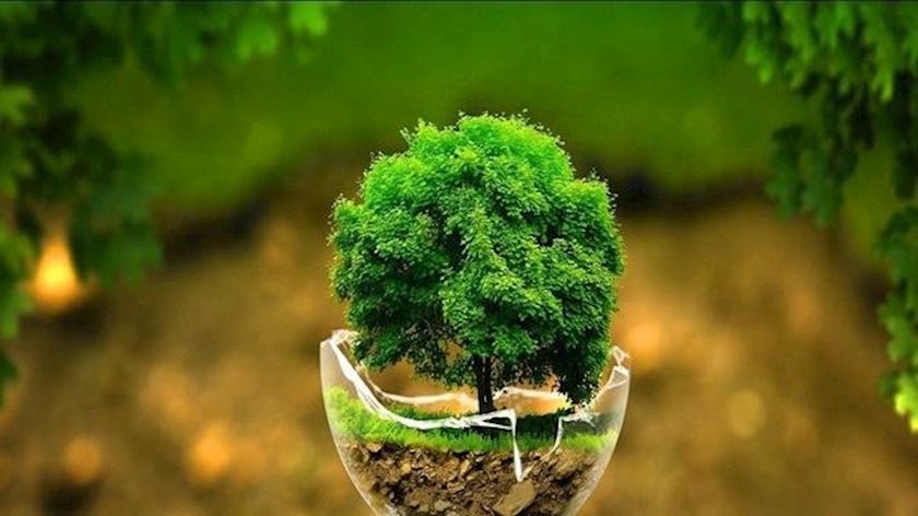 Iranpress: Iran set to launch 67 environmental projects