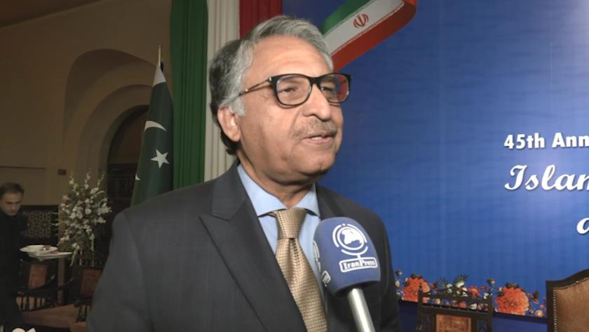 Iranpress: Iran, Pakistan support each other at international forums: Pakistani FM