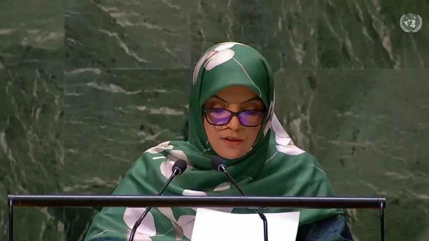 Iranpress: Iran envoy condemns continuation of Israeli regime