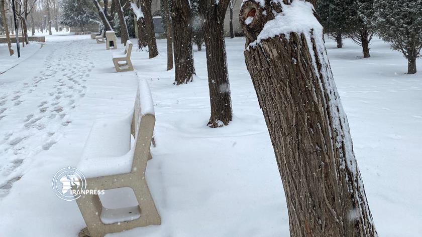 Iranpress: Karaj turns white thanks to beautiful snowfall