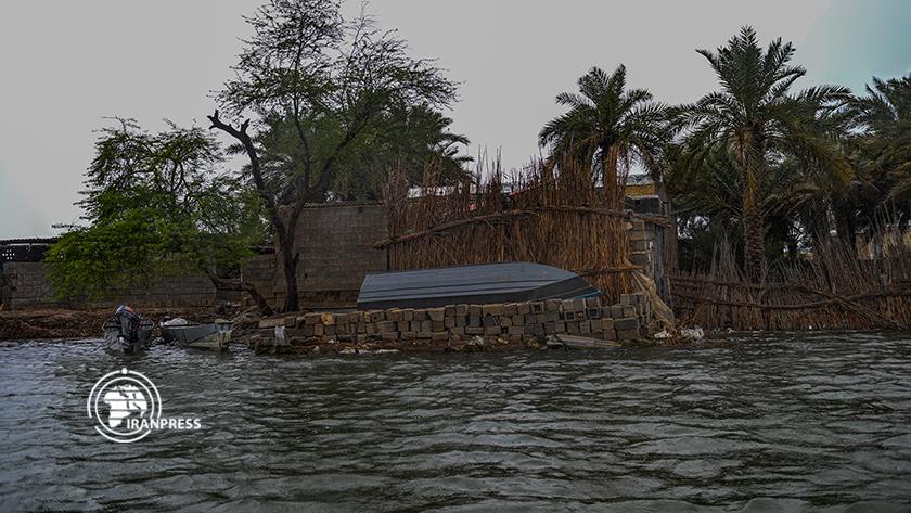 Iranpress: Discover the beauty of Shadegan Wetland: A hidden gem in Khuzestan