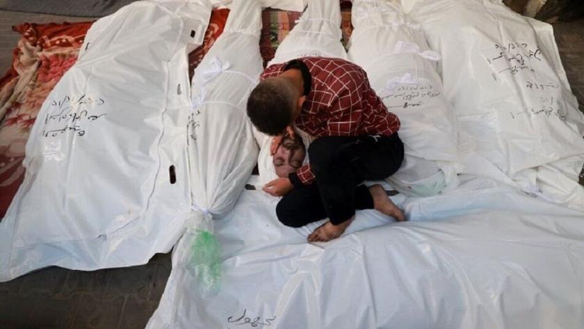 Iranpress: Israel shot kills 81 people waiting for food aid, 250 others injured