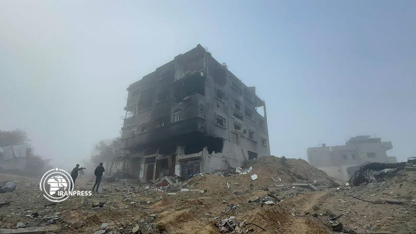 Iranpress: International community silent amid peak of humanitarian disaster in Gaza