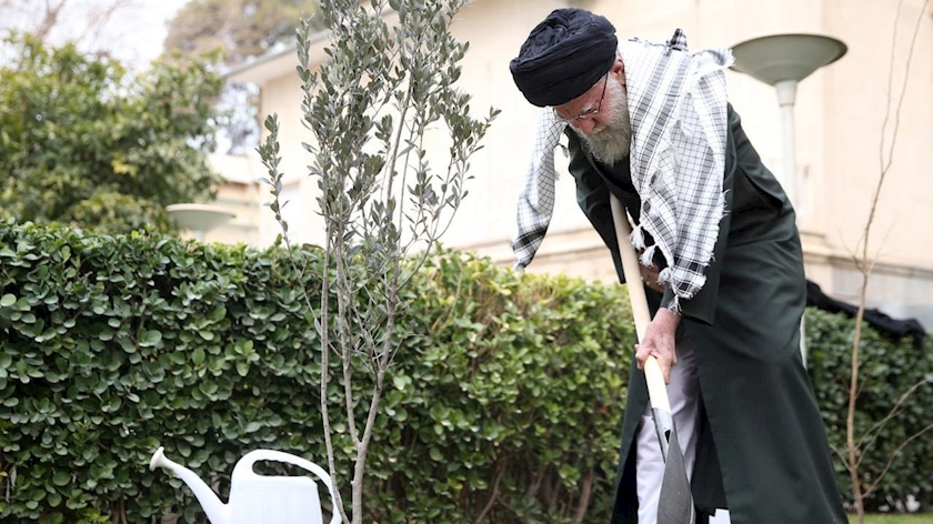 Iranpress: Ayatollah Khamenei plants olive sapling in honor of Palestine’s resistance