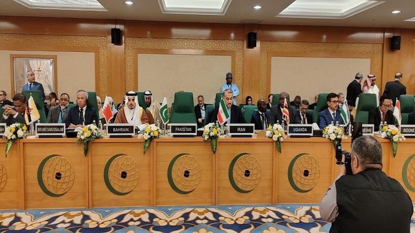 Iranpress: Iran FM : Israeli crimes in Gaza prove pursuing policy of destroying Palestine