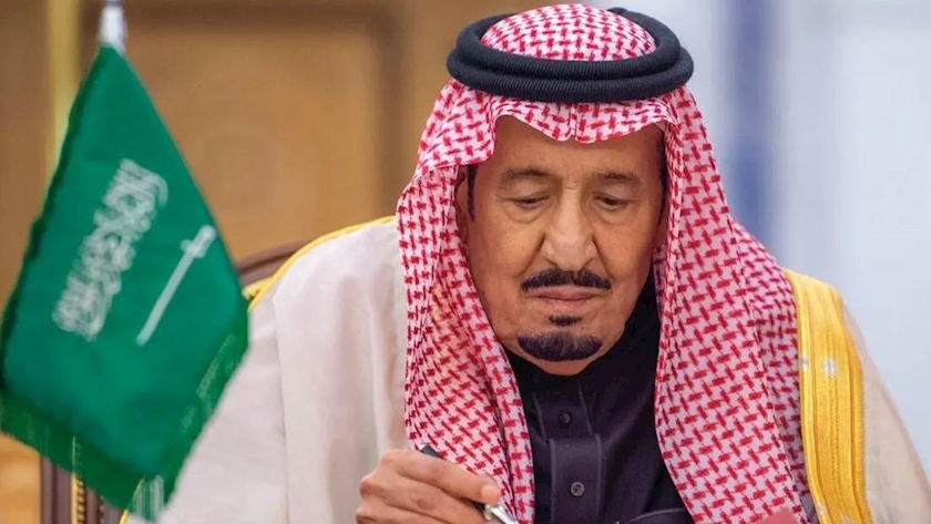 Iranpress: Saudi Arabia calls to stop brutal atrocities in Gaza