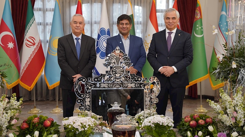 Iranpress: ECO Cultural Institute welcomes Nowruz