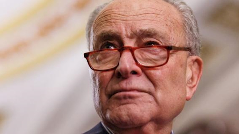 Iranpress: US senate