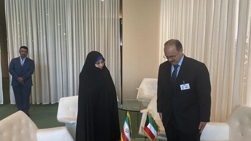 Iranpress: IranVP says Muslim countries should promote divine family norms