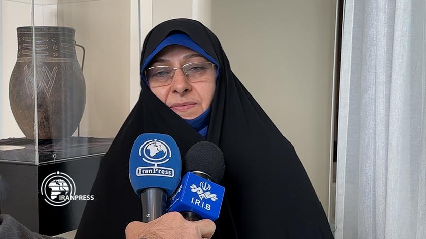 Iranpress: Iranian VP returns from New York