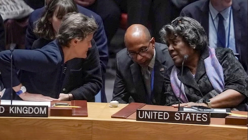 Iranpress: UNSC rejects US-cooked resolution over Gaza